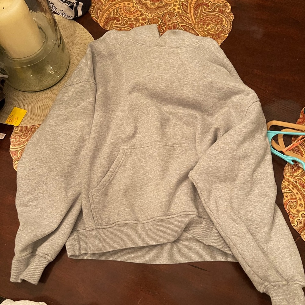 Aritzia sweatshirt